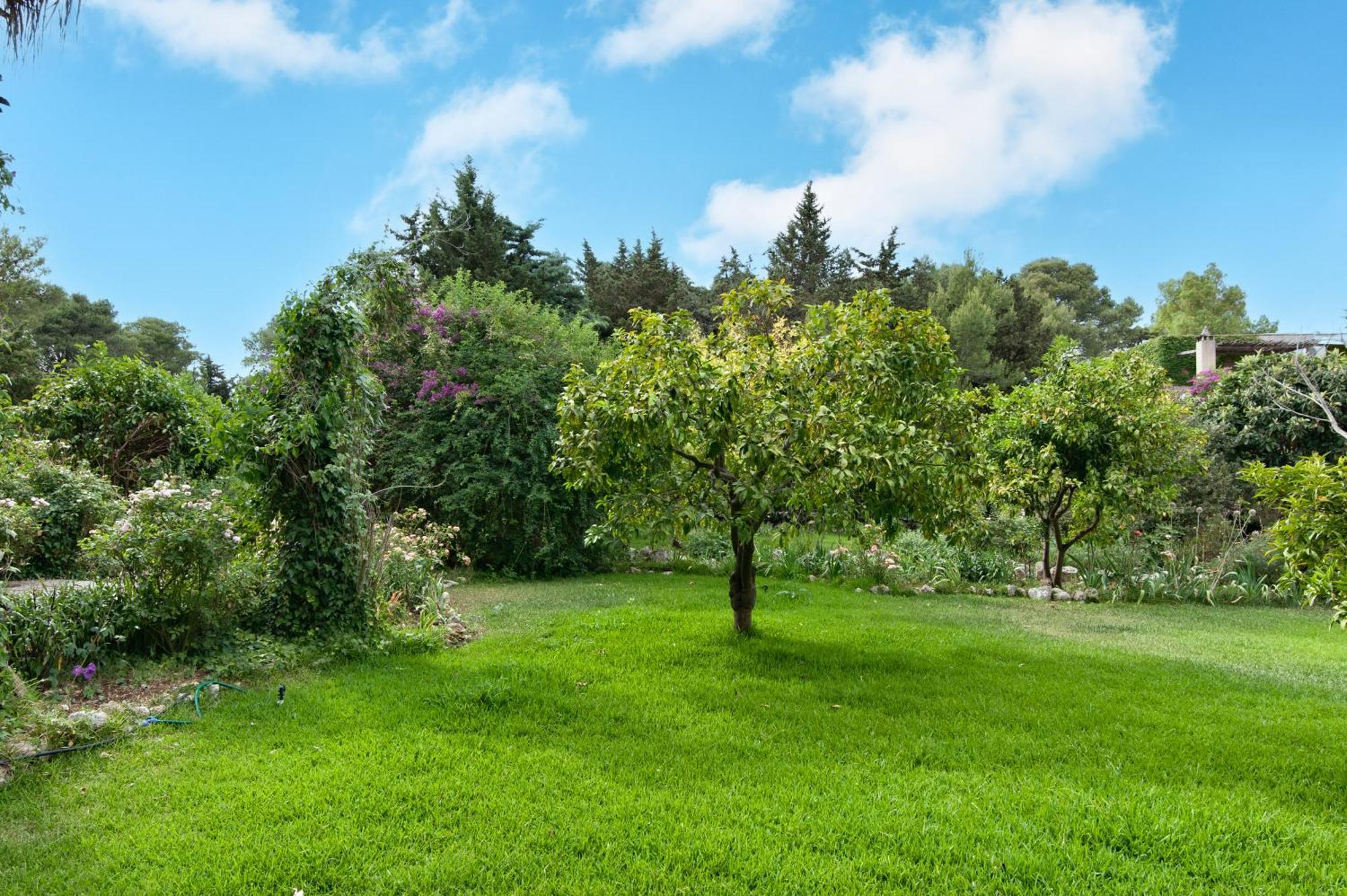 Вілла Tenuta Chimeta - Peace Retreat Castrignano de' Greci Екстер'єр фото