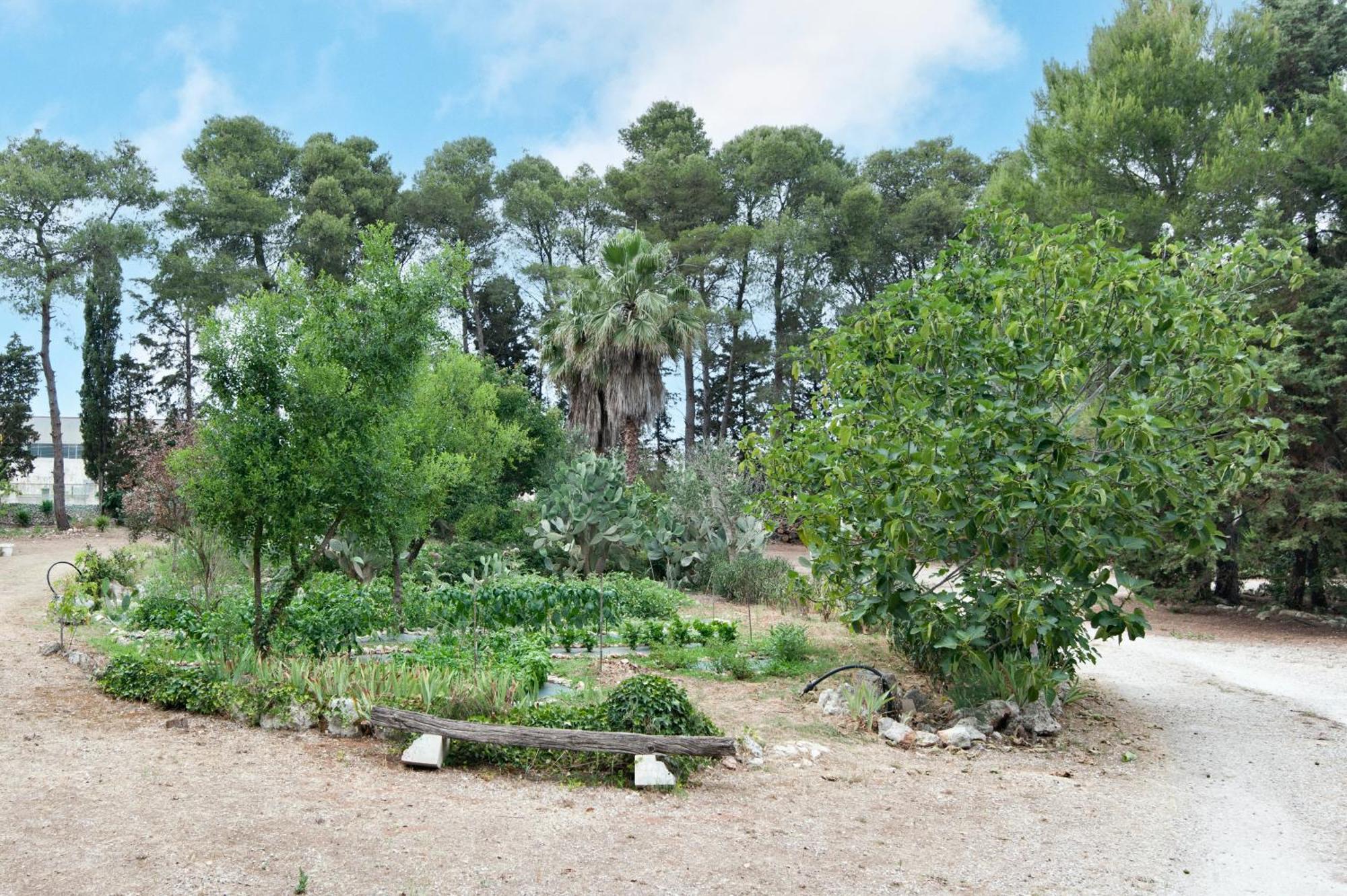 Вілла Tenuta Chimeta - Peace Retreat Castrignano de' Greci Екстер'єр фото